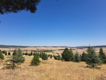 ZAFERİN YÜKSELDİĞİ TEPE : ZAFERTEPE ANITI