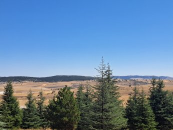 ZAFERİN YÜKSELDİĞİ TEPE : ZAFERTEPE ANITI