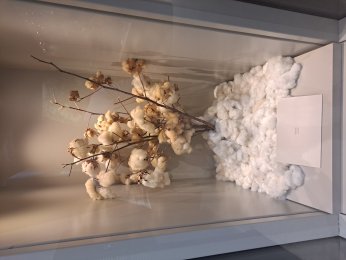 ŞEHRİN HAFIZASINA YOLCULUK: DENİZLİ KENT MÜZESİ