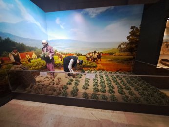 ŞEHRİN HAFIZASINA YOLCULUK: DENİZLİ KENT MÜZESİ