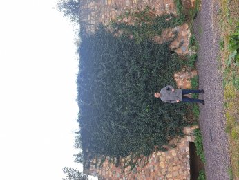 İZMİT KÖRFEZİNİ KORUYAN TARİHİ YAPI: ESKİHİSAR KALESİ