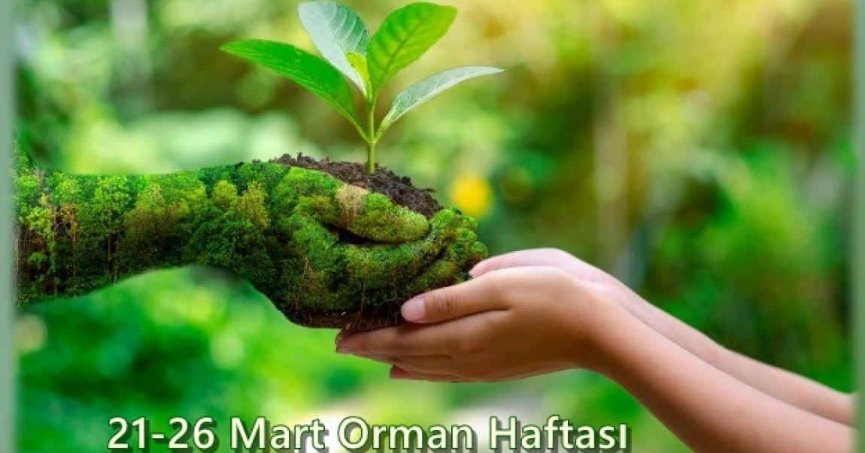 ORMANLARIMIZ GELECEĞE BIRAKILACAK ÖNEMLİ MİRASTIR